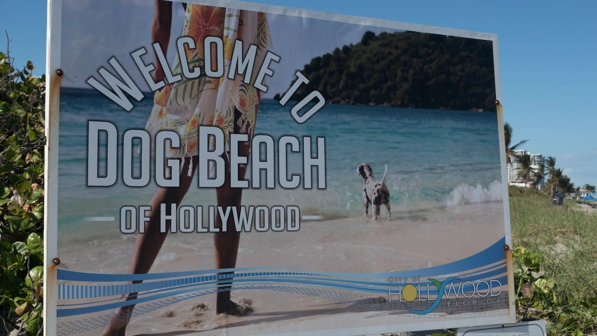 Welcome to Dog Beach of Hollywood sign